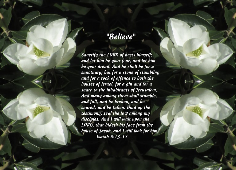 © Photo Artist Susan Ruth Robertson 090025006100 040 - Copy - Copy.JPG