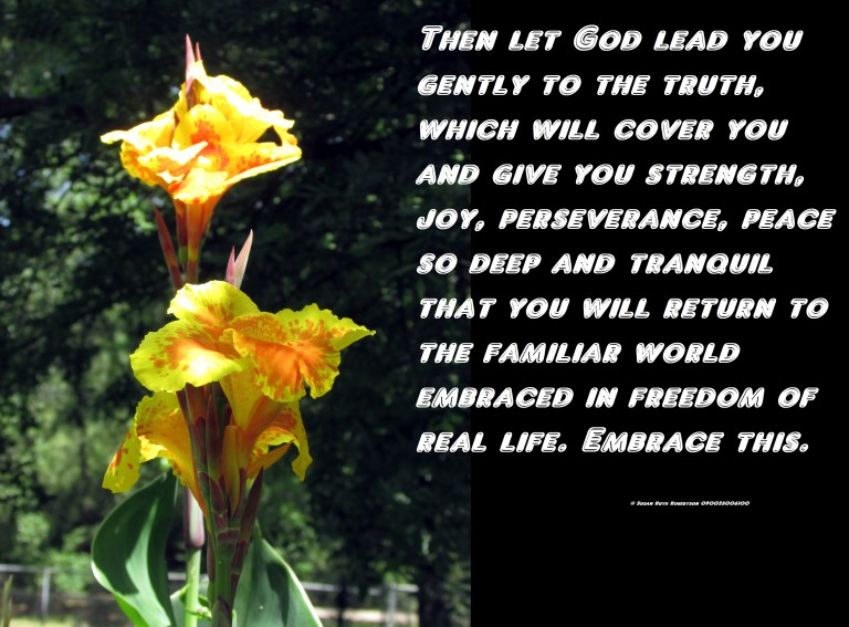 © Photo Artist Susan Ruth Robertson 090025006100 040.JPG