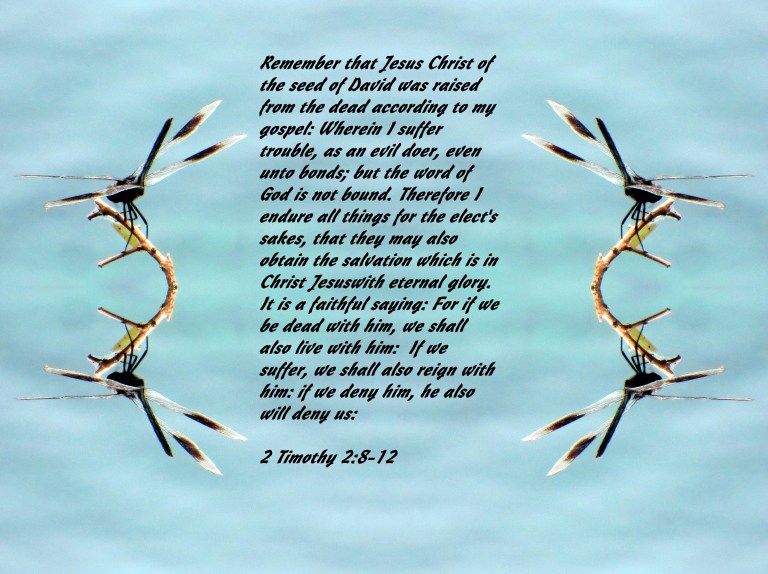 © Photo Artist Susan Ruth Robertson 090025006100 068 - Copy - Copy.JPG