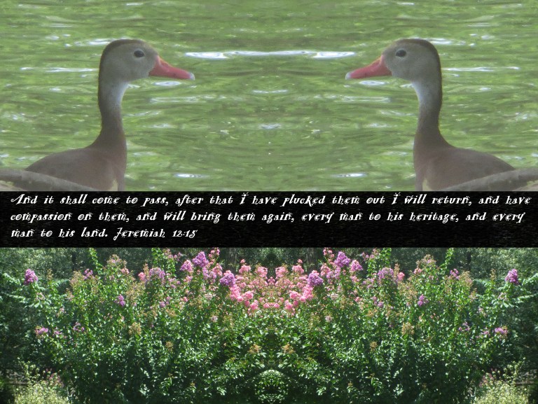 © Photo Artist Susan Ruth Robertson 090025006100 108 - Copy.JPG