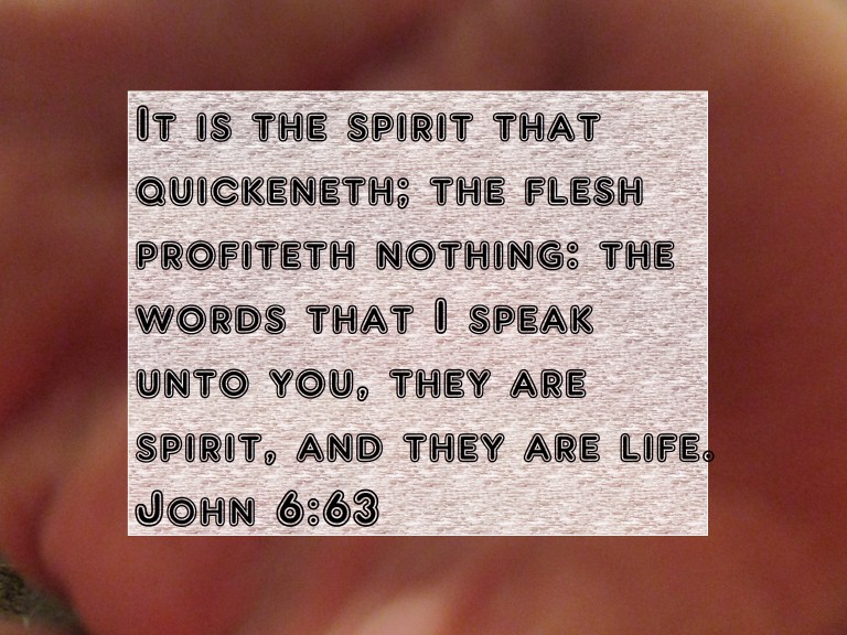 SX400 IS © Photo Artist Susan Ruth Robertson 090025006100 052 - Copy.JPG