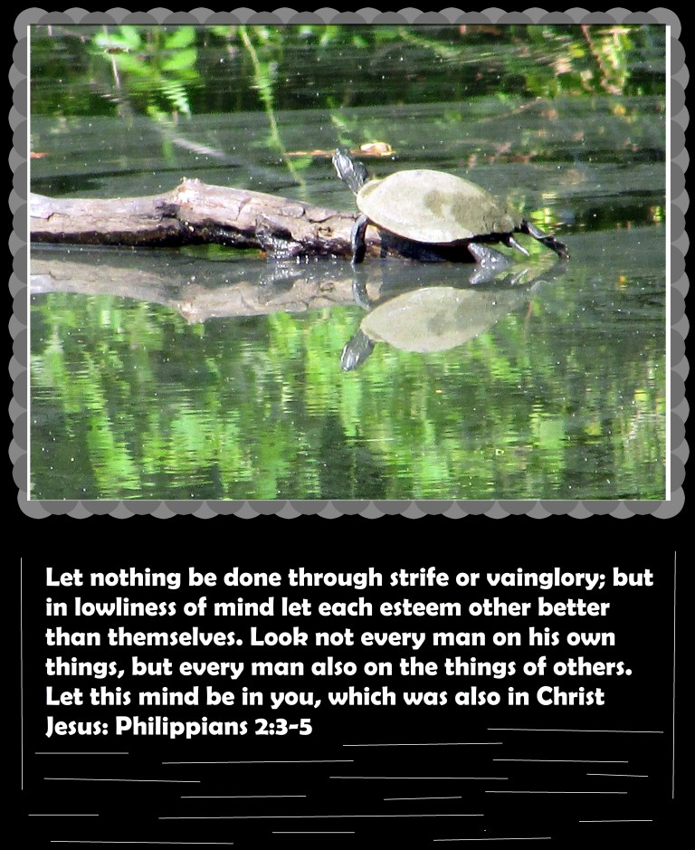 © Photo Artist Susan Ruth Robertson 090025006100 002 - Copy.JPG