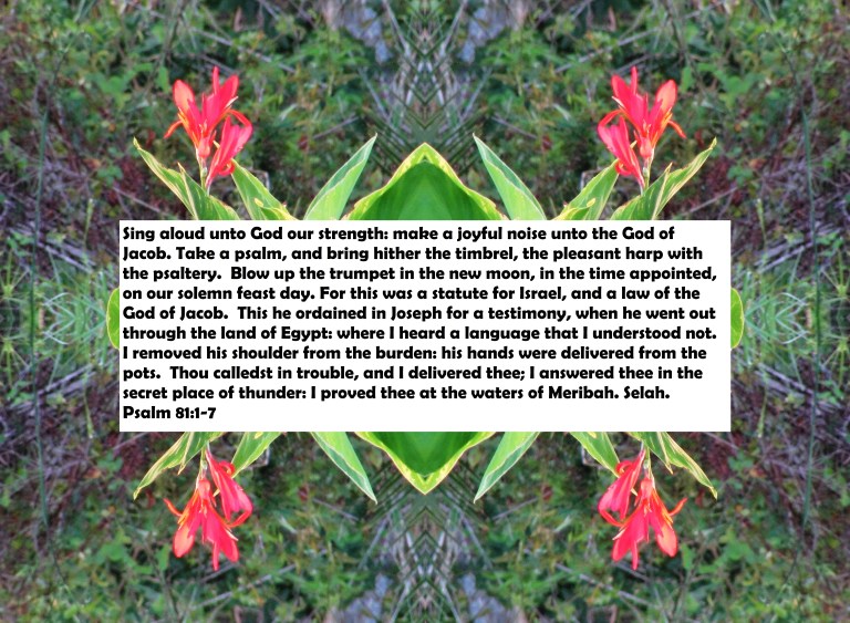 © Photo Artist Susan Ruth Robertson 090025006100 011 - Copy - Copy.JPG