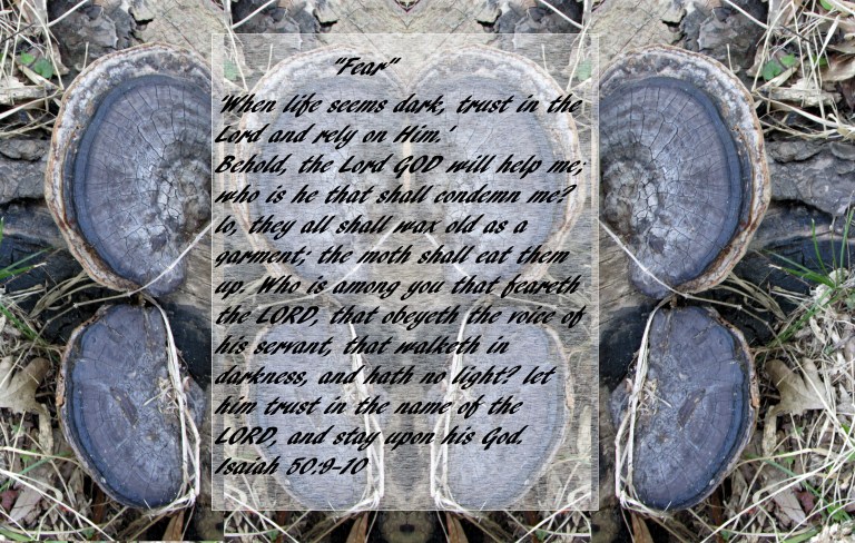 © Photo Artist Susan Ruth Robertson 090025006100 027 - Copy.JPG