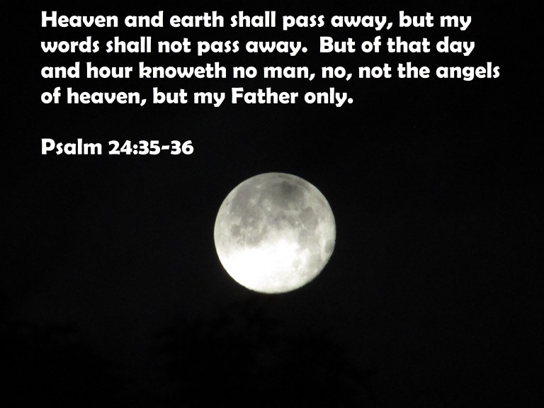 © Photo Artist Susan Ruth Robertson 090025006100 029 - Copy.JPG