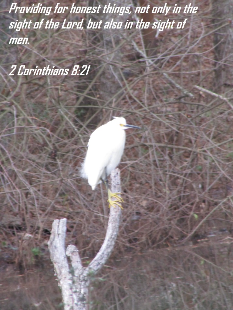 © Photo Artist Susan Ruth Robertson 090025006100 035 - Copy.JPG