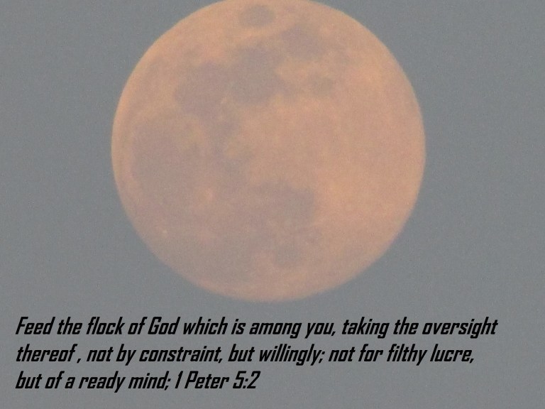 © Photo Artist Susan Ruth Robertson 090025006100 054.JPG