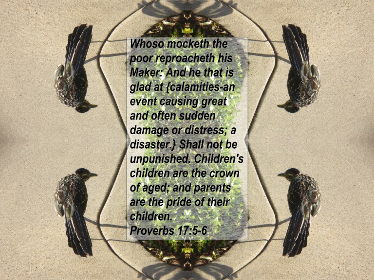 © Photo Artist Susan Ruth Robertson 090025006100 060 - Copy.JPG