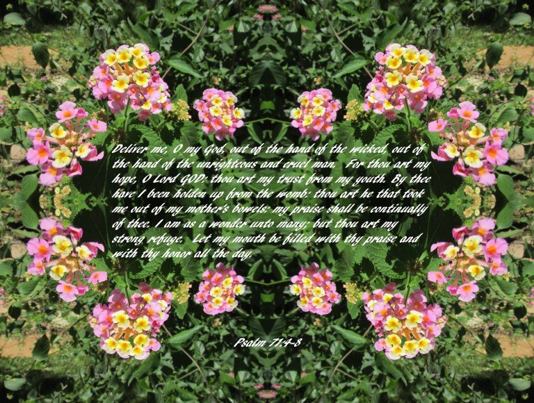 © Photo Artist Susan Ruth Robertson 090025006100 140 - Copy - Copy.JPG