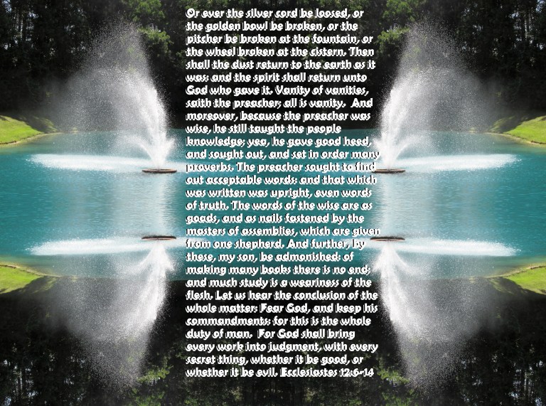 © Photo Artist Susan Ruth Robertson 090025006100 SX 400 IS 019 - Copy.JPG