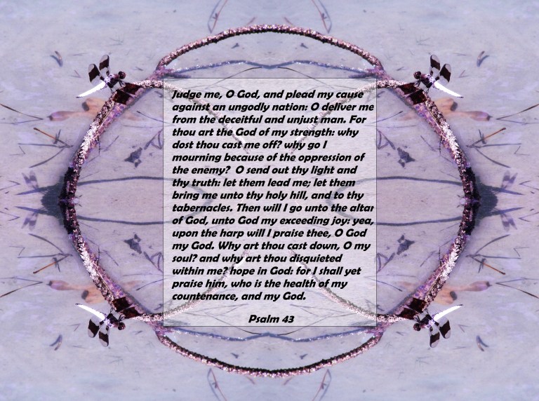 © Photo Artist Susan Ruth Robertson 090025006100 SX 400 IS 024 - Copy.JPG