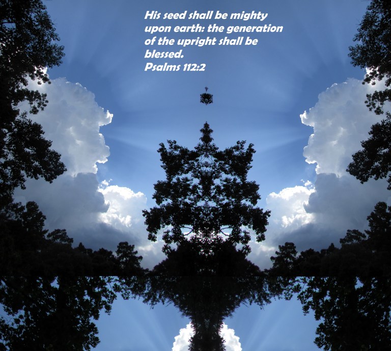 SX400IS © Photo Artist Susan Ruth Robertson 090025006100 014 - Copy.JPG