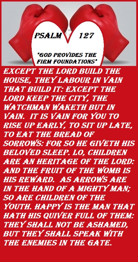 16747567-red-boxing-gloves-illustration - Copy - Copy