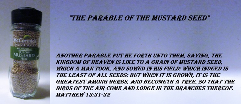 © Photo Artist Susan ruth Robertson 09002500100 001 - Copy.JPG