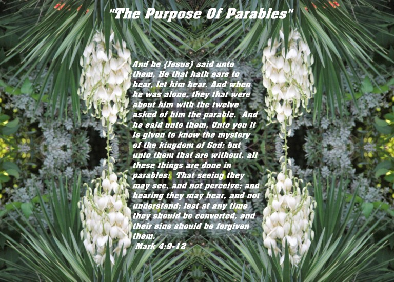 © Photo Artist Susan ruth Robertson 09002500100 002 - Copy - Copy - Copy.JPG