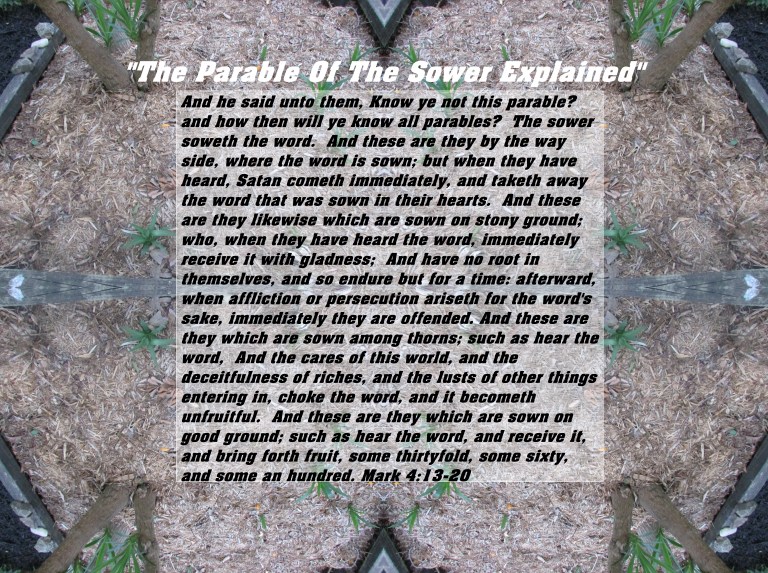 © Photo Artist Susan ruth Robertson 09002500100 097 - Copy.JPG