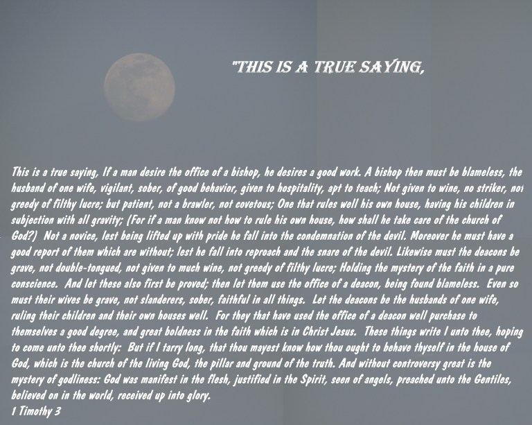 © Photo Artist Susan Ruth Robertson 090025006100   (137) - Copy.JPG