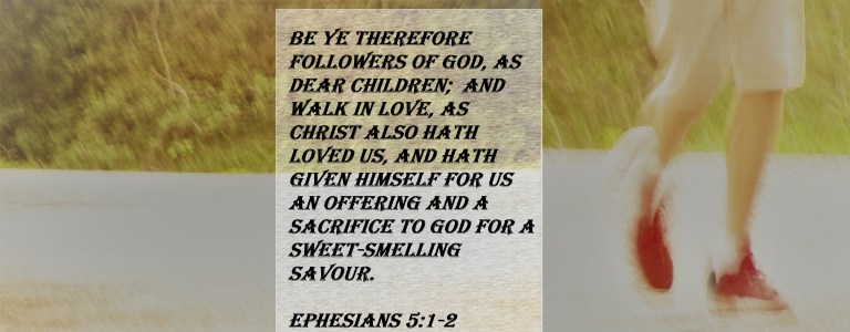 © Photo Artist Susan Ruth Robertson 090025006100   (149) - Copy - Copy.JPG