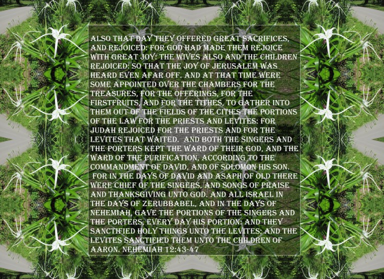 © Photo Artist Susan Ruth Robertson 090025006100 SX 400 IS 055 - Copy - Copy.JPG