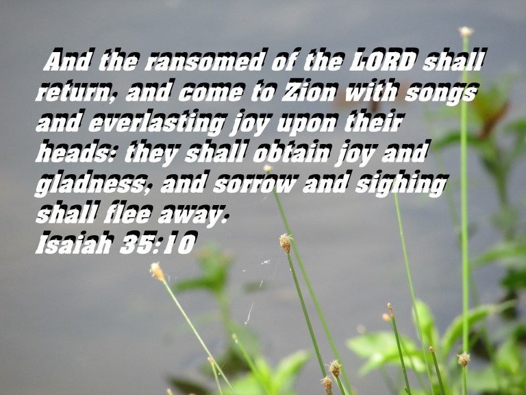 SX400 IS © Photo Artist Susan Ruth Robertson 090025006100 036.JPG