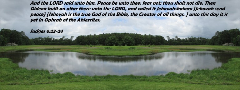 SX400IS © Photo Artist Susan Ruth Robertson 090025006100 026 - Copy.JPG