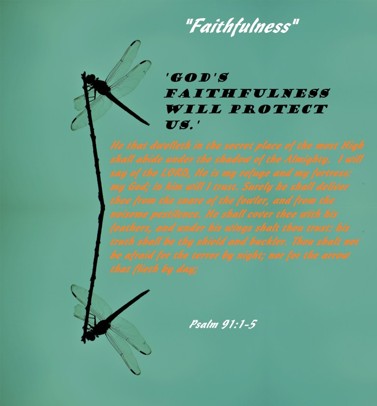 2017-05-23 © Photo Artist Susan Ruth Robertson 090025006100 023 - Copy (2) - Copy - Copy.JPG