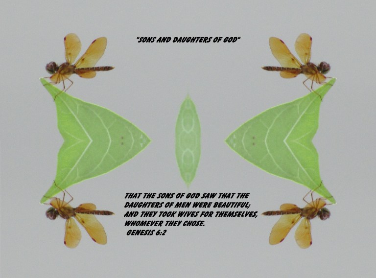 © Photo Artist Susan ruth Robertson 09002500100 008 - Copy - Copy.JPG