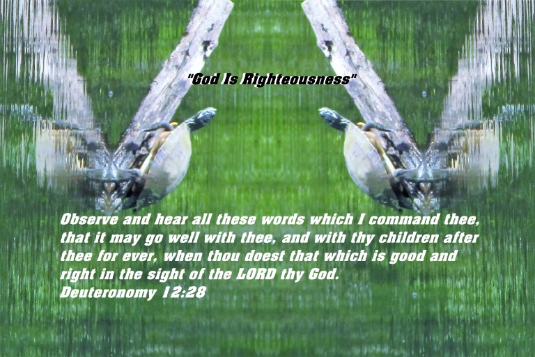 © Photo Artist Susan ruth Robertson 09002500100 031 - Copy.JPG