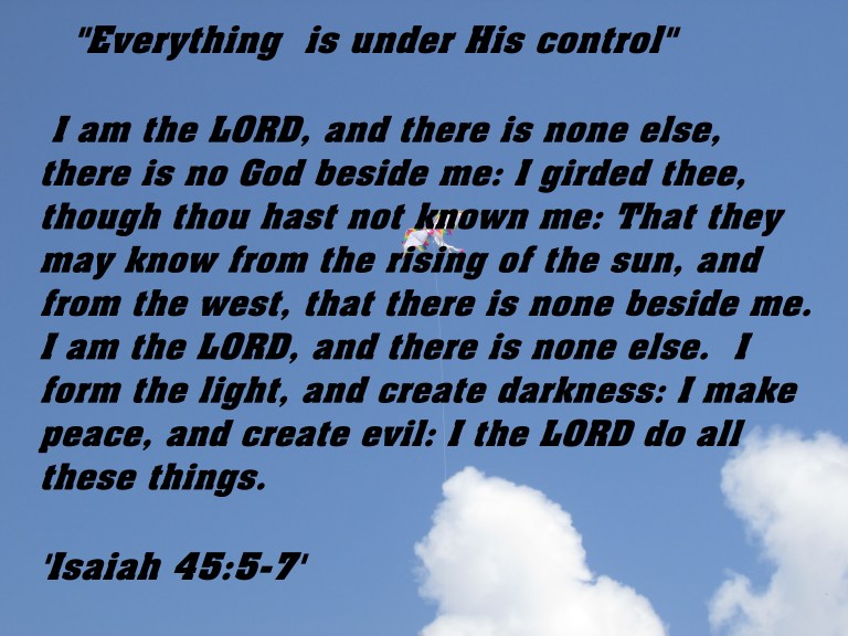 © Photo Artist Susan ruth Robertson 09002500100 057 - Copy.JPG