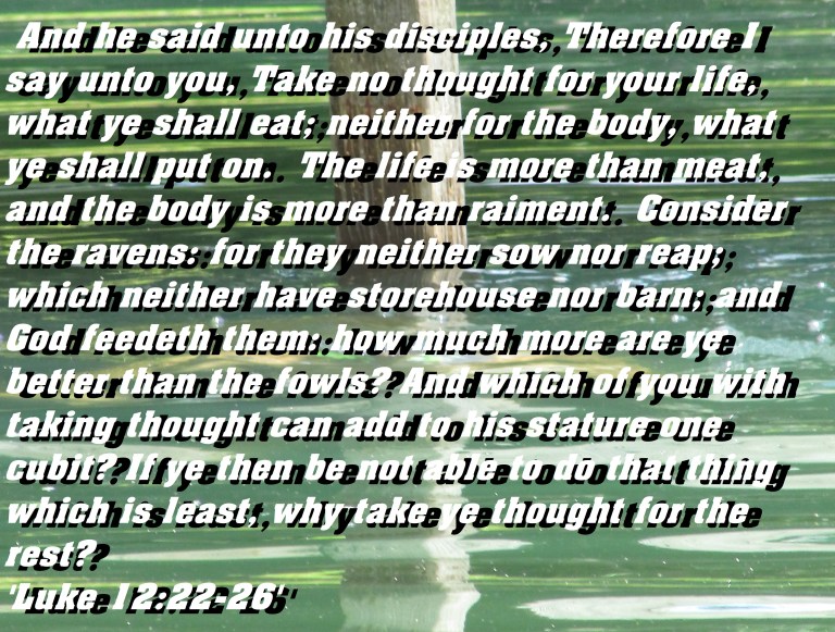 © Photo Artist Susan ruth Robertson 09002500100 071 - Copy.JPG