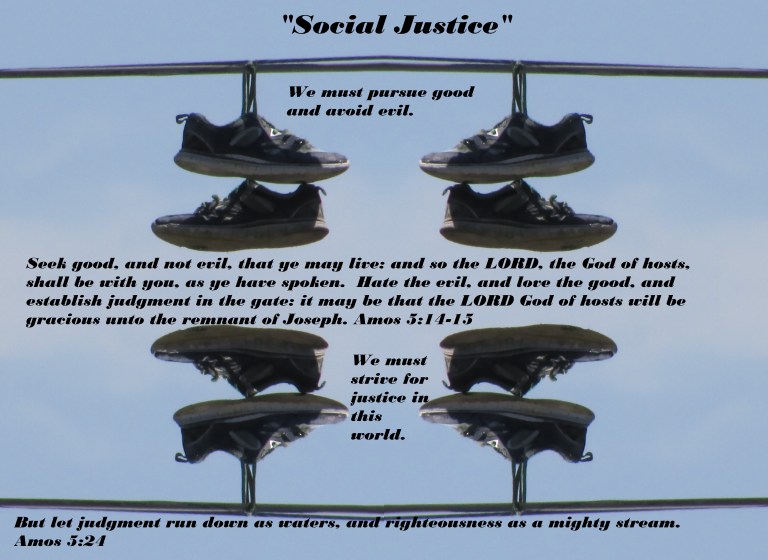 © Photo Artist Susan Ruth Robertson 090025006100 012 - Copy.JPG