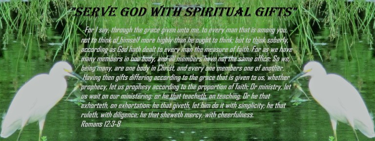 © Photo Artist Susan Ruth Robertson 090025006100 015 - Copy.JPG