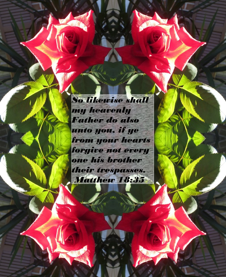 © Photo Artist Susan Ruth Robertson 090025006100 018 - Copy - Copy - Copy - Copy.JPG