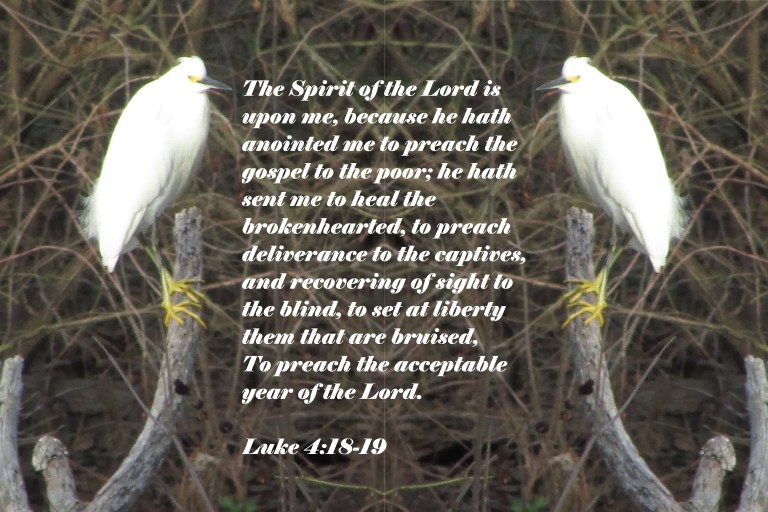 © Photo Artist Susan Ruth Robertson 090025006100 024 - Copy (4) - Copy.JPG