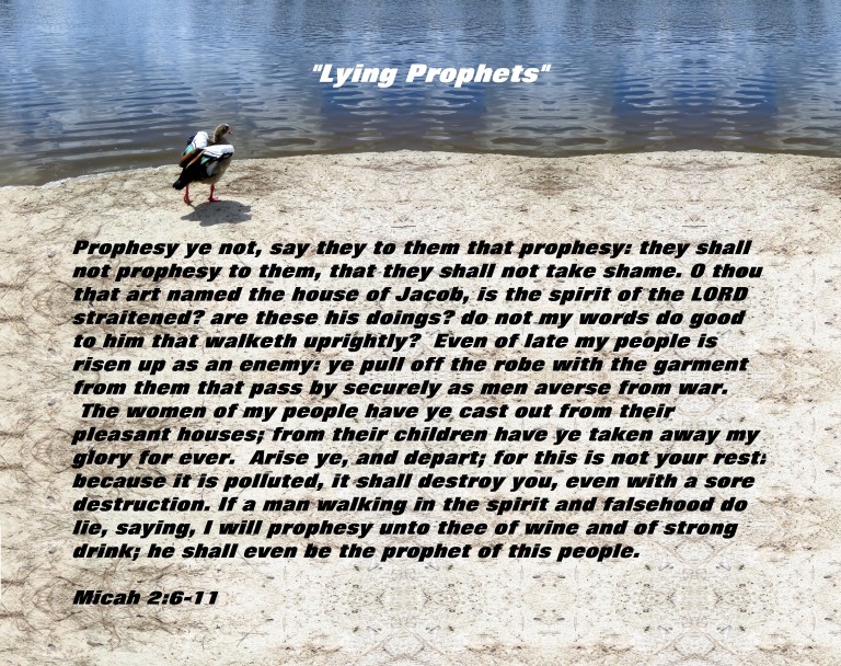 © Photo Artist Susan Ruth Robertson 090025006100 029 - Copy - Copy (4) - Copy.JPG