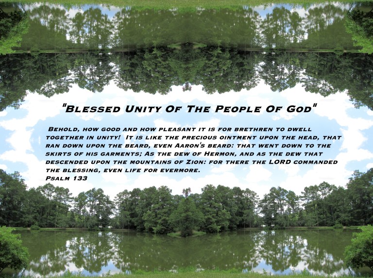 © Photo Artist Susan Ruth Robertson 090025006100 038 - Copy.JPG