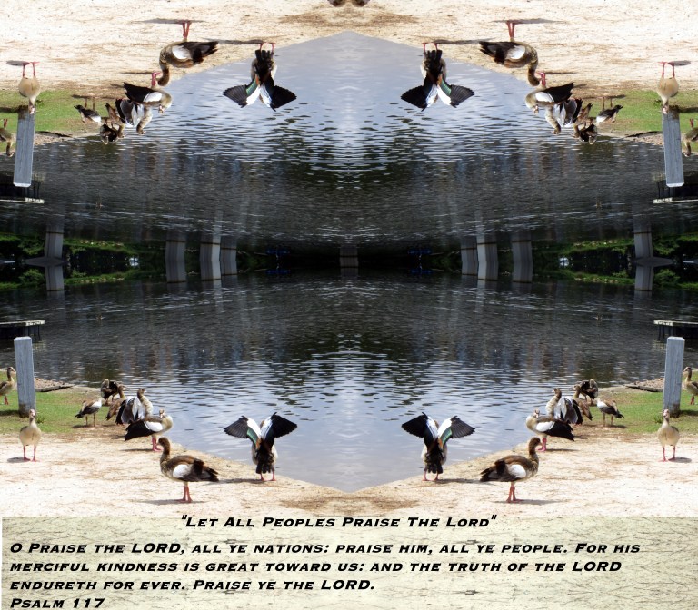 © Photo Artist Susan Ruth Robertson 090025006100 040 - Copy.JPG