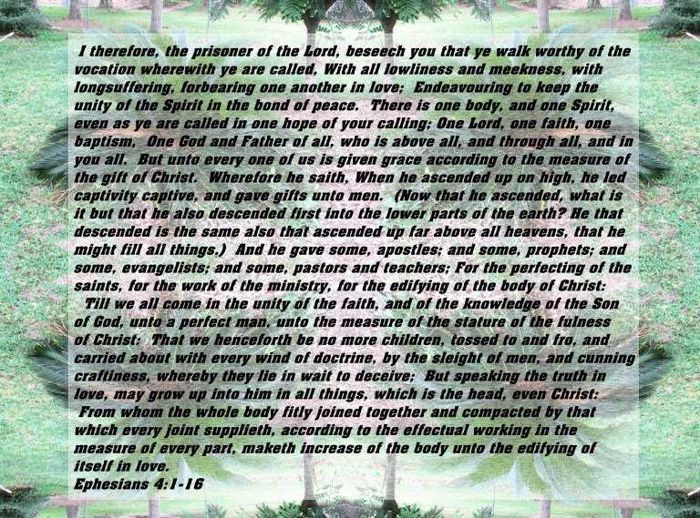 © Photo Artist Susan Ruth Robertson 090025006100 SX 400 IS 039 - Copy - Copy.JPG