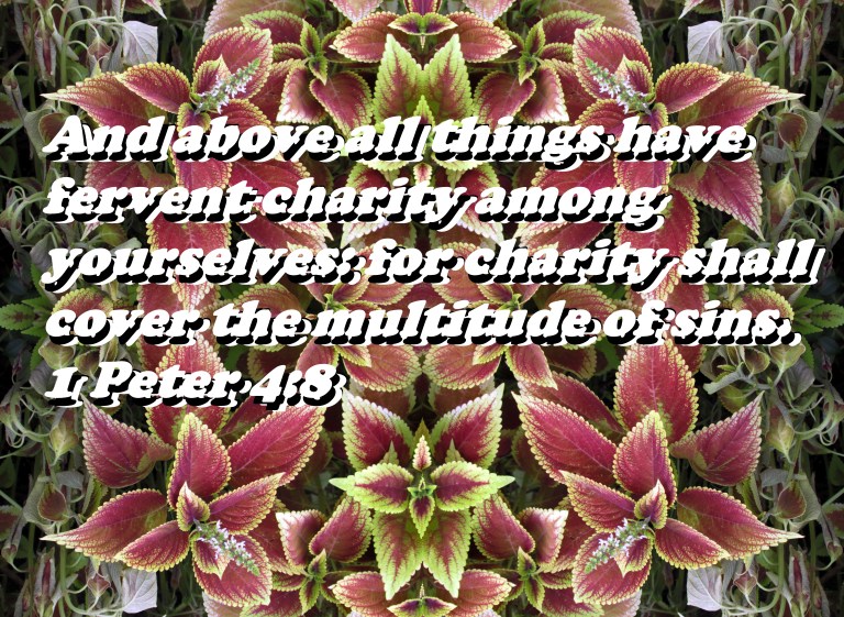 © Photo Artist Susan Ruth Robertson 090025006100SX400 IS 001 - Copy - Copy.JPG