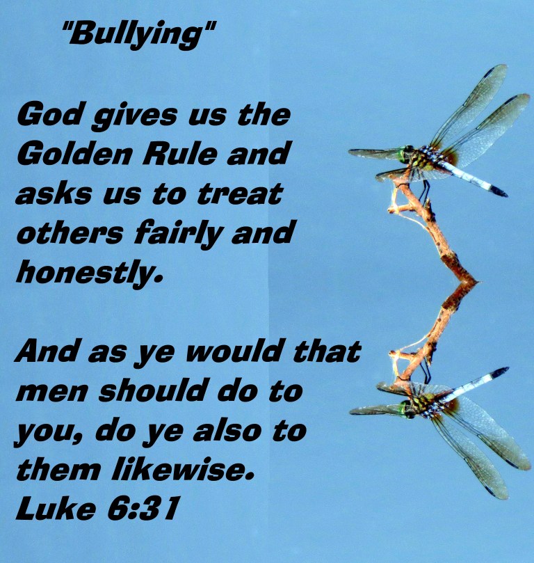 SX260 HS © Photo Artist Susan Ruth Robertson 090025006100 046 - Copy - Copy (2).JPG