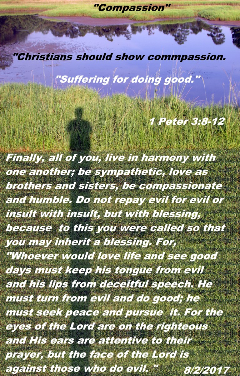 © Photo Artist Susan Ruth Robertson 090025006100 014.JPG