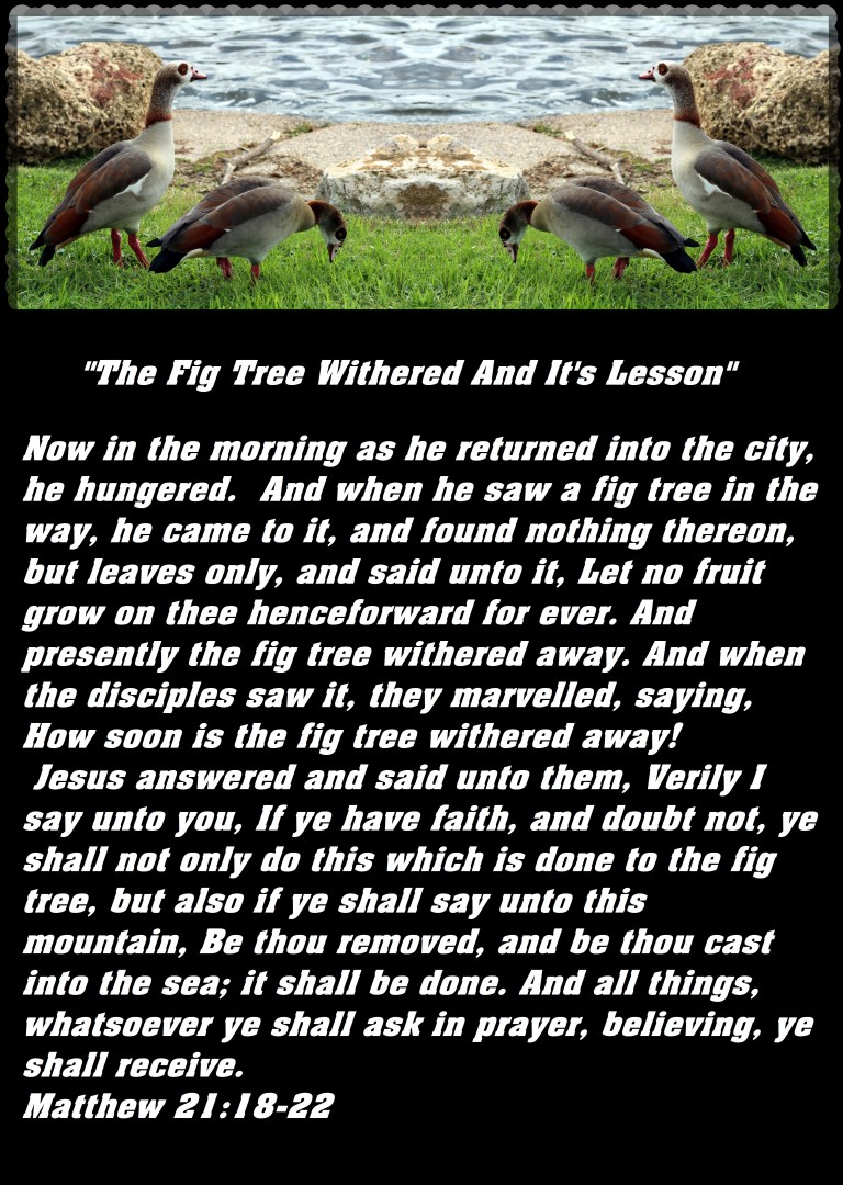 © Photo Artist Susan Ruth Robertson 090025006100 020 - Copy - Copy (2).JPG