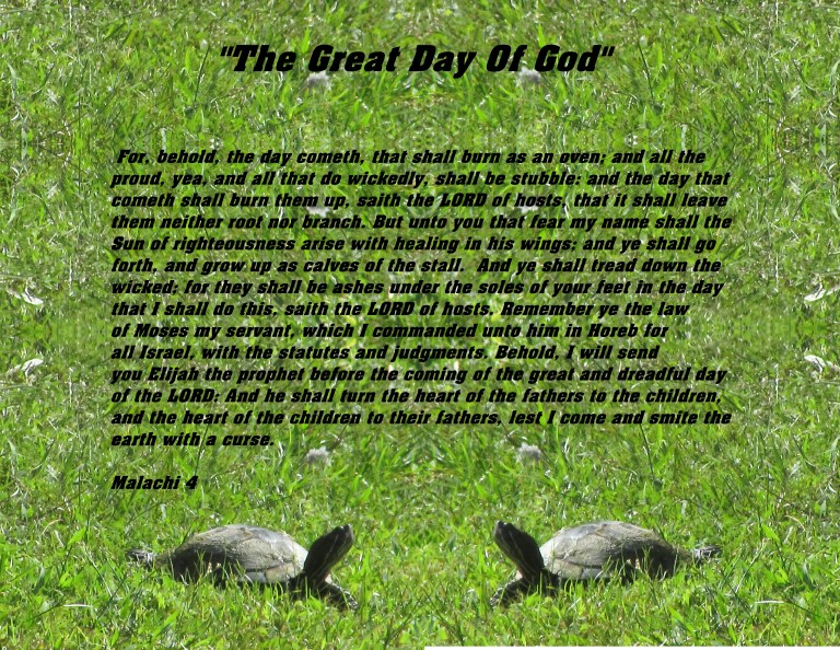 © Photo Artist Susan Ruth Robertson 090025006100 028 - Copy - Copy (2).JPG