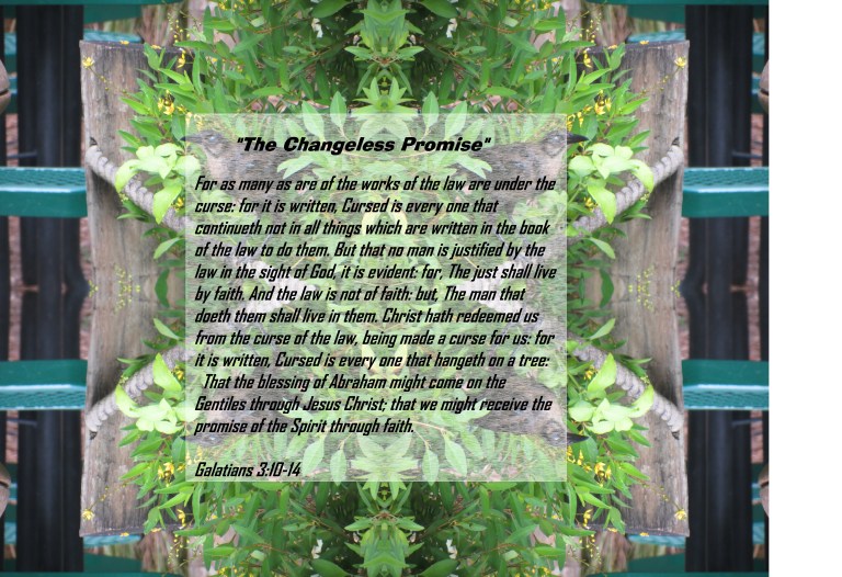 © Photo Artist Susan Ruth Robertson 090025006100 036 - Copy - Copy.JPG