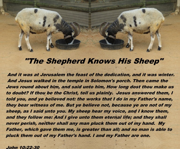 © Photo Artist Susan Ruth Robertson 090025006100 045 - Copy.JPG