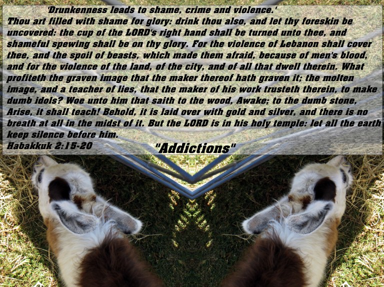 © Photo Artist Susan Ruth Robertson 090025006100 046 - Copy - Copy.JPG