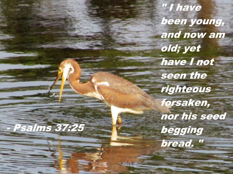 © Photo Artist Susan Ruth Robertson 090025006100 127 - Copy.JPG