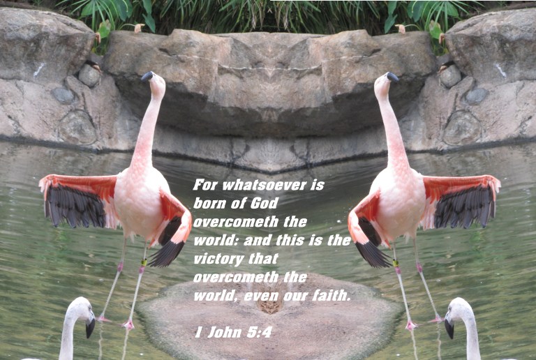 © Photo Artist Susan Ruth Robertson 090025006100 394 - Copy.JPG