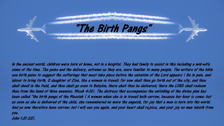 © Photo Artist Susan Ruth Robertson 090025006100 😁🙏💯 004 (8) - Copy.JPG