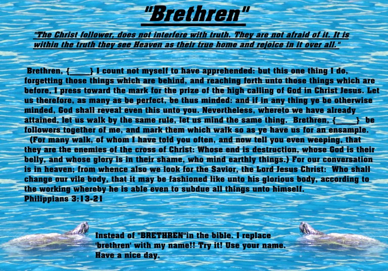 © Photo Artist Susan Ruth Robertson 090025006100 SX 400 IS 021 - Copy (2) - Copy - Copy - Copy - Copy.JPG